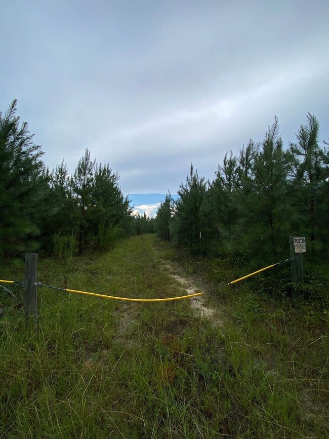 0 Highway 242 unit 24270248, Bartow, GA 30413 - photo 2