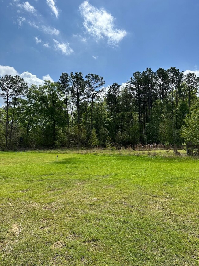 3100 Main St, Rosenberg, TX 77471 - photo 3