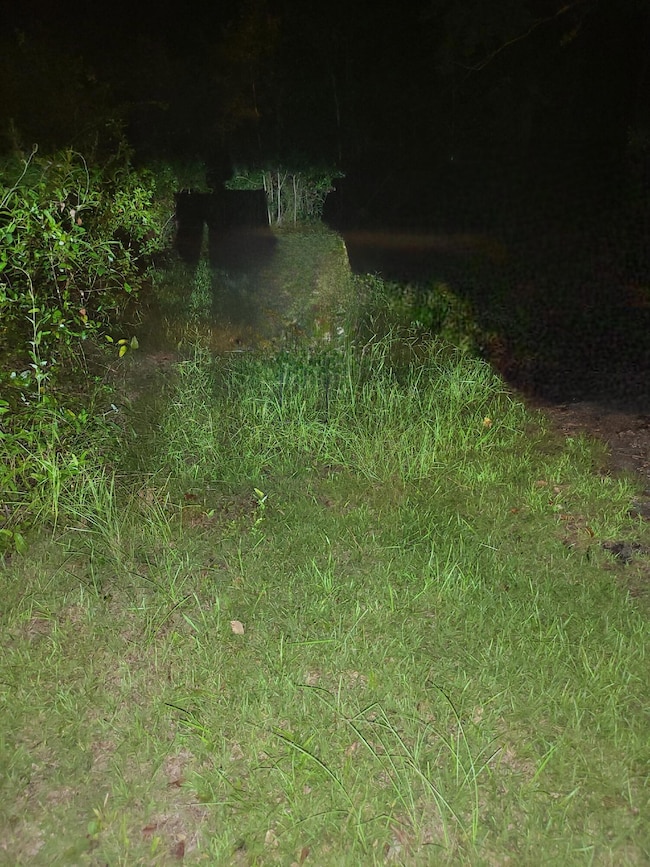 Lot of 3 Satcher Dr, Picayune, MS 39466 - photo 3