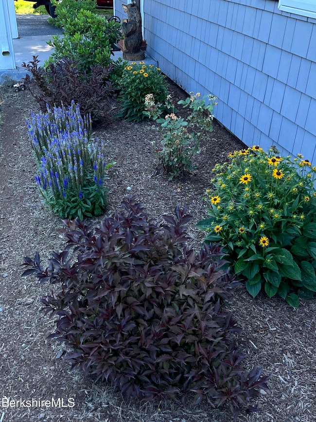 Professionally Landscaped