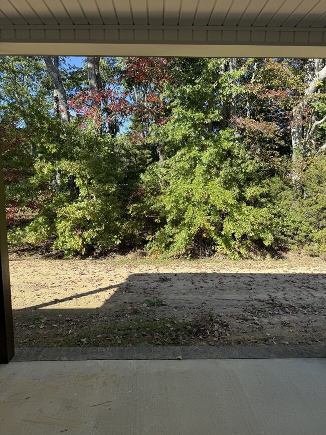 306 Cassie Dr, Lafayette, TN 37083 - photo 5