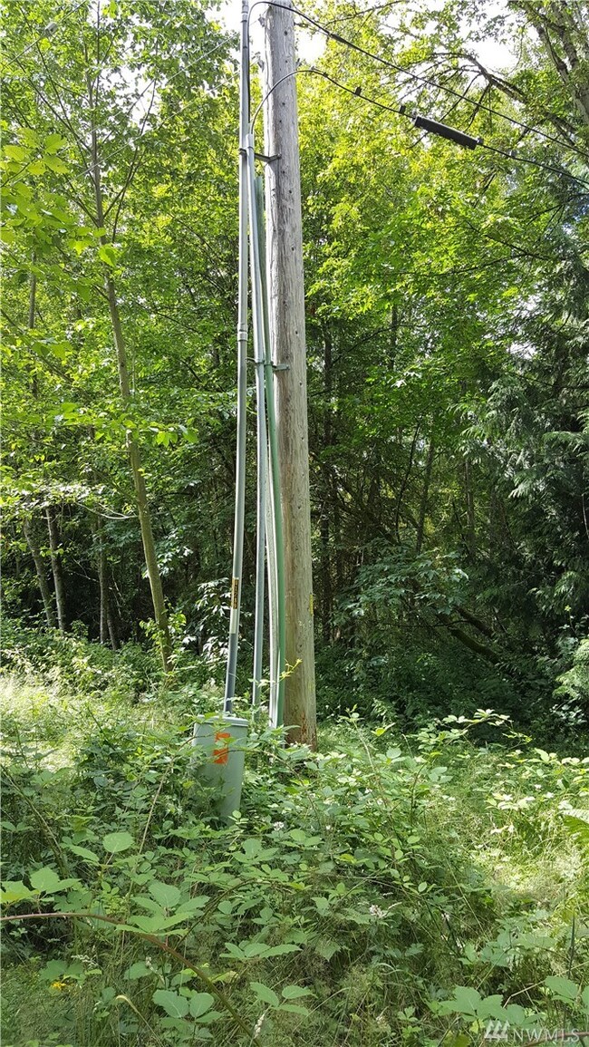 254TH 254th St E, Graham, WA 98338 - photo 5