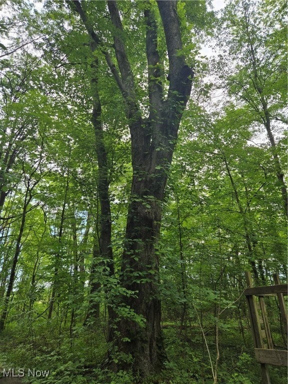 View of tree filled area