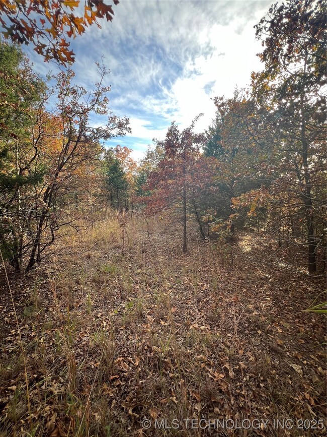 0029 Ruisdael Rd, Sand Springs, OK 74063 - photo 7