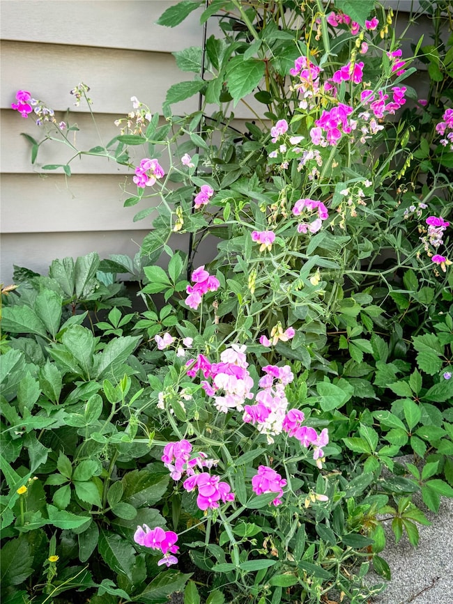 15 W End Rd, Livingston, MT 59047 - photo 5