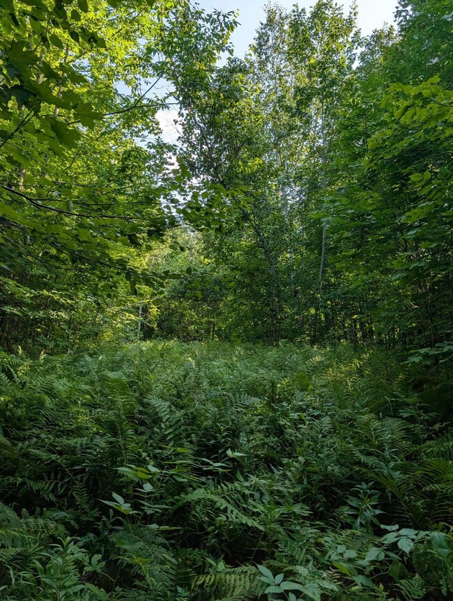 Parcel 3 unit Y RD, Exeland, WI 54835 - photo 4