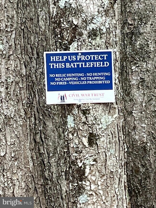 31250 Zoar Rd, Locust Grove, VA 22508 - photo 4