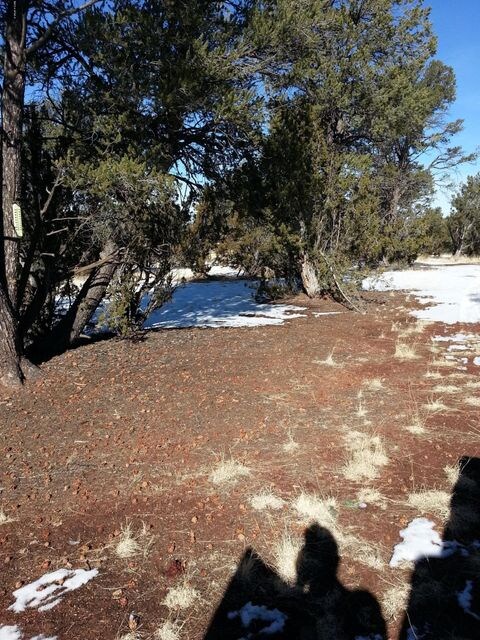 20130108_115427 - Copy