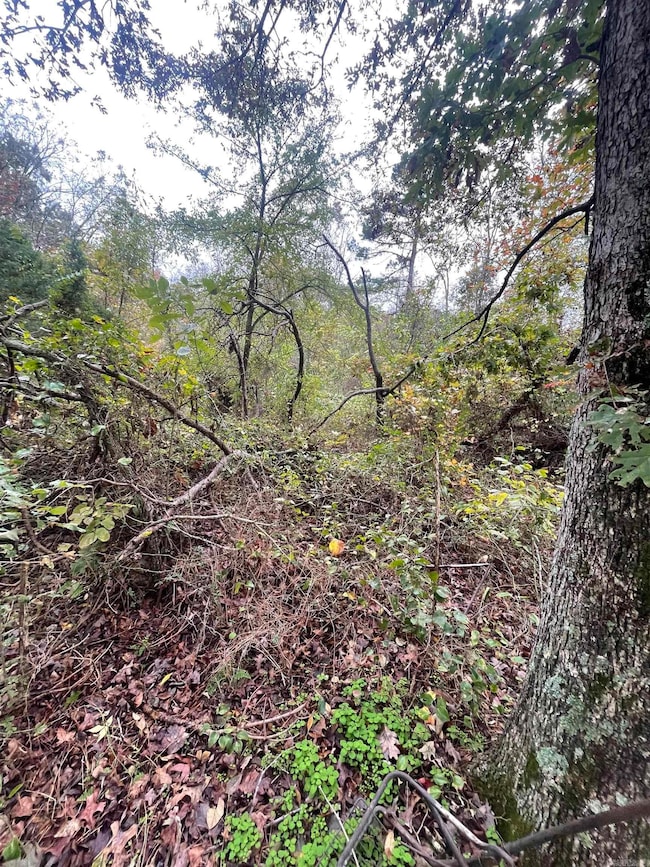 000 Prim Rd, Prim, AR 72130 - photo 6