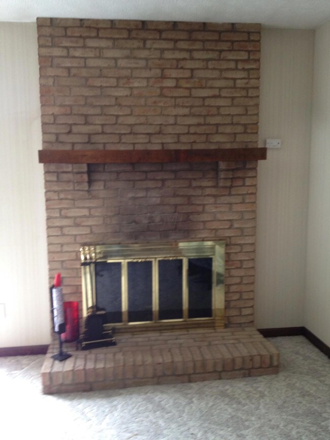 Fireplace ( gas logs)