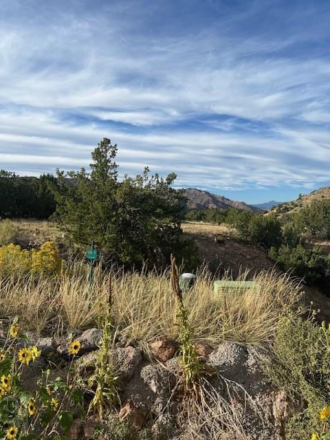 87 Eagle Crest Loop, Cañon City, CO 81212 - photo 4