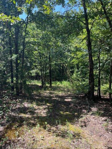 Tract 1 SE 1083 Road Ave, Red Oak, OK 74563 - photo 3