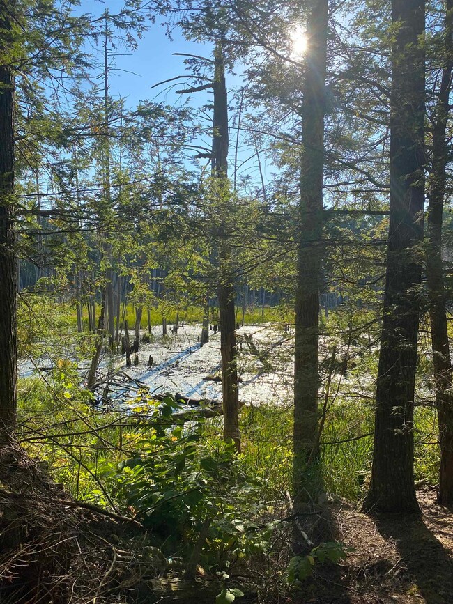 00 Dump Rd unit 20, Chester, NH 03036 - photo 7