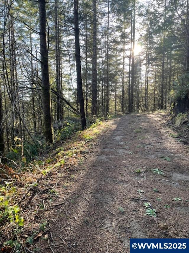 2840 NE Big Creek Rd, Newport, OR 97365 - photo 7