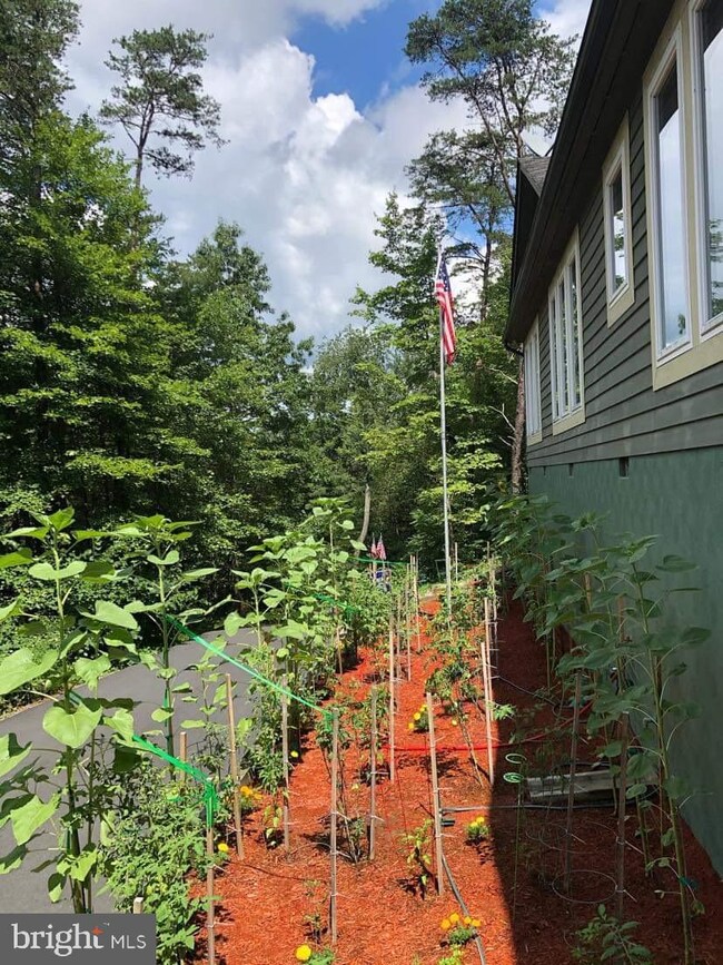 587 Straton Way, Basye, VA 22810 - photo 3