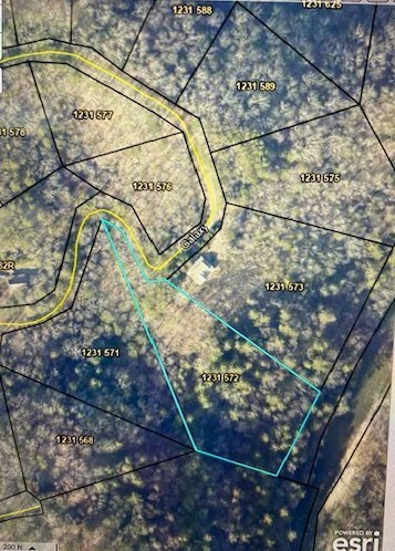 571-572 Galaxy Way unit 571, 572, Ranger, GA 30734 - photo 2