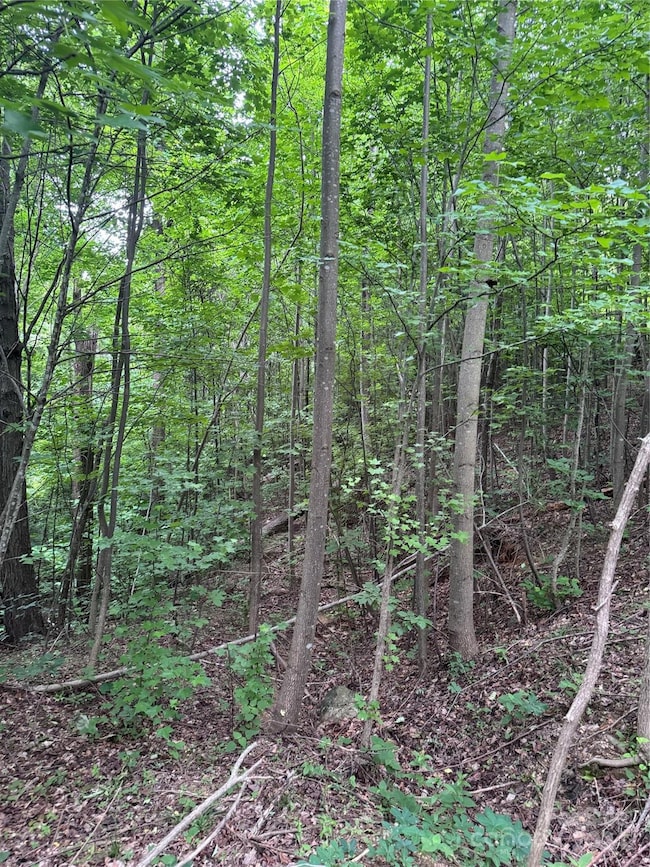 0 Holland Dr unit 18 CAR4146725, Columbus, NC 28722 - photo 5