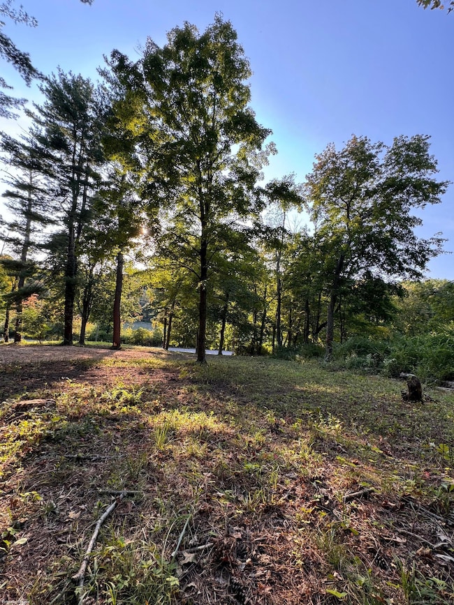 0 Cornwall Bridge Rd unit 170559925, Sharon, CT 06069 - photo 6