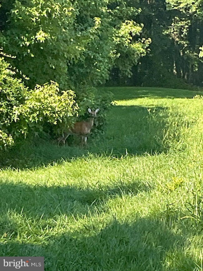 0 Abingdon Rd unit MDHR2015922, Abingdon, MD 21009 - photo 7