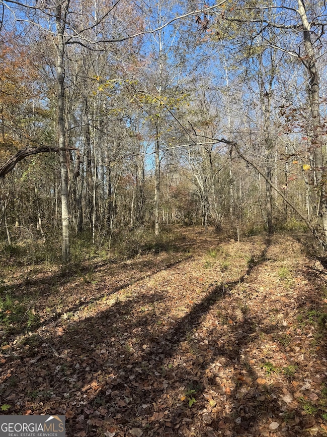 151 W Drummond Rd, West Point, GA 31833 - photo 3