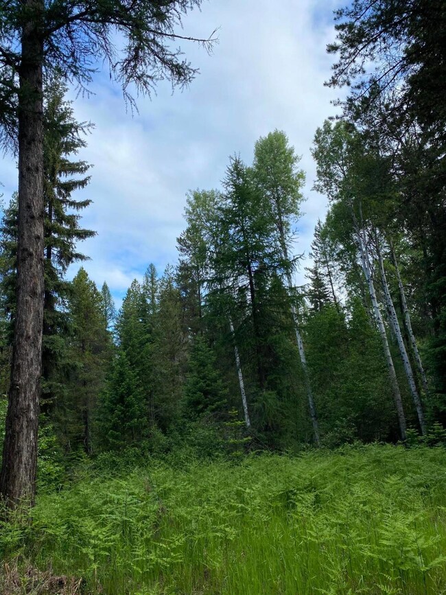 139 Graham Grove Ln, Trout Creek, MT 59874 - photo 3