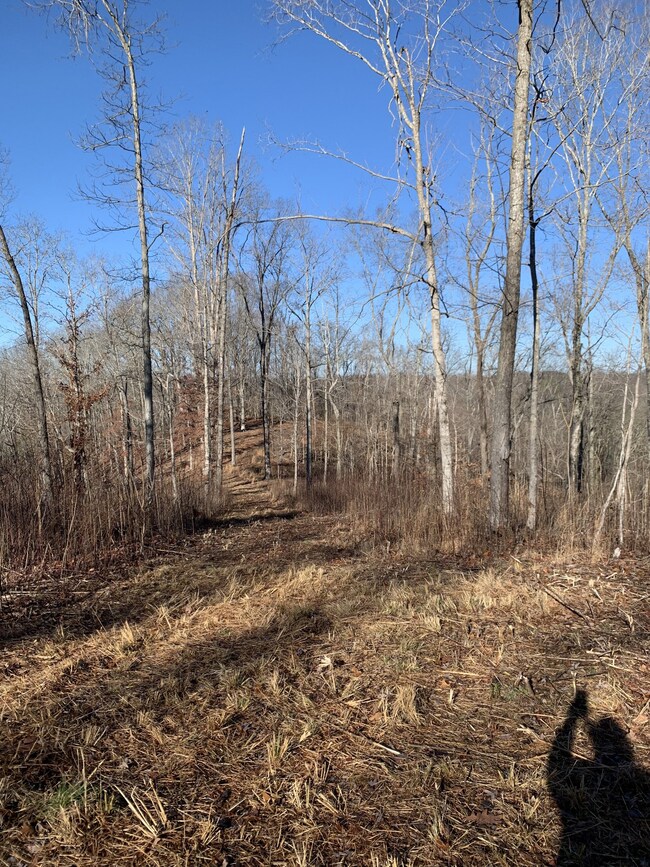 0 Hester Beasley Rd unit RTC2498520, Nashville, TN 37221 - photo 2