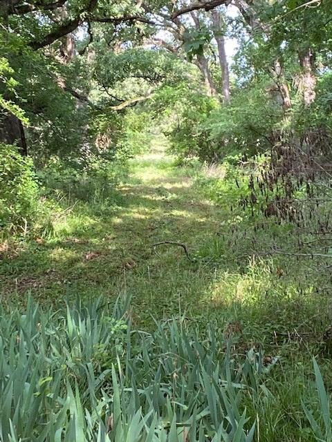 TBD Fm 59, Athens, TX 75148 - photo 3