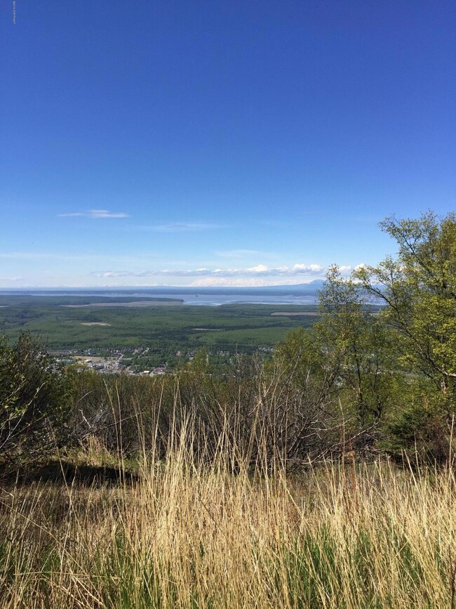 19401 Silverwood Hill Dr, Anchorage, AK 99577 - photo 6