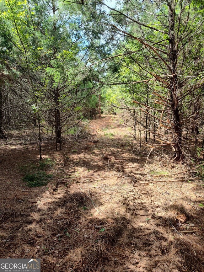 1661 G R Hayes Dr, Elberton, GA 30635 - photo 4