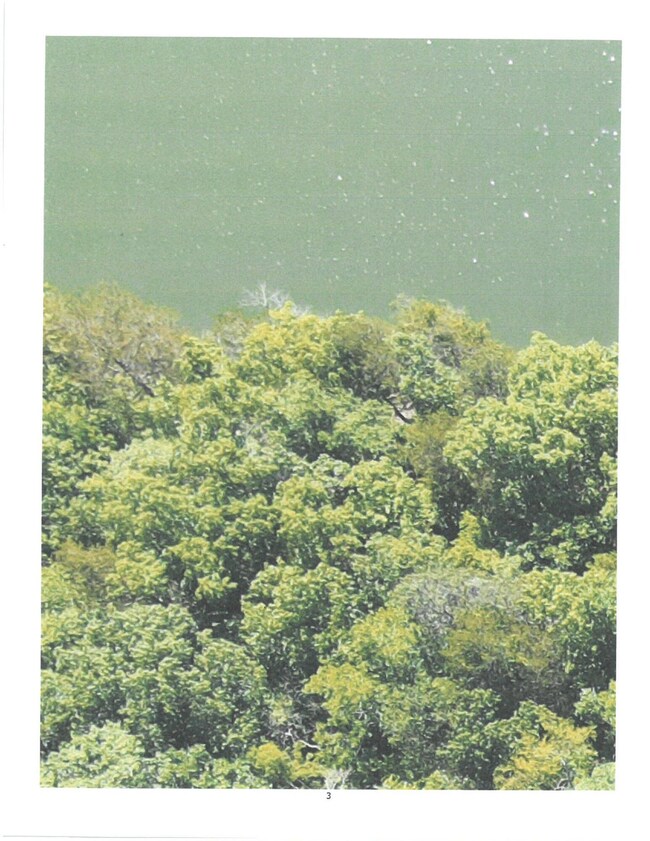 Lakefront