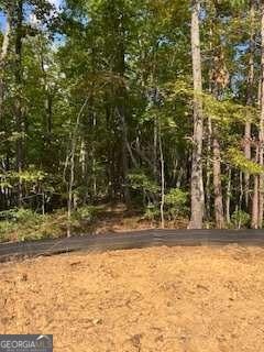 280 Eastwood Path, Rockmart, GA 30153 - photo 7