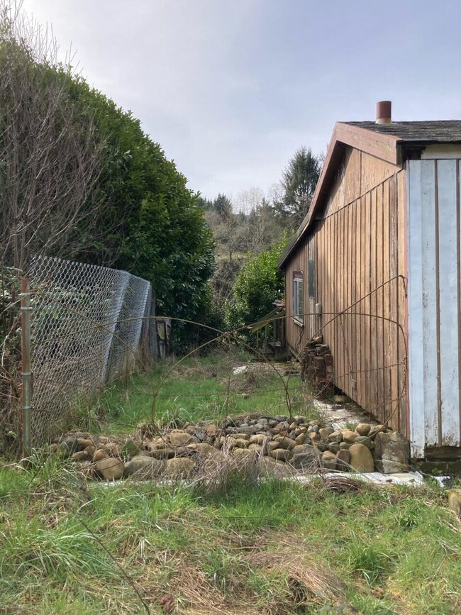 pic 3