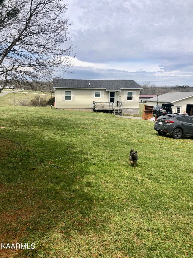 FrontYard3