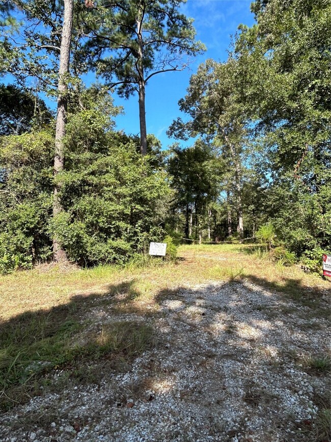 24585 Emily Way, Hockley, TX 77447 - photo 7