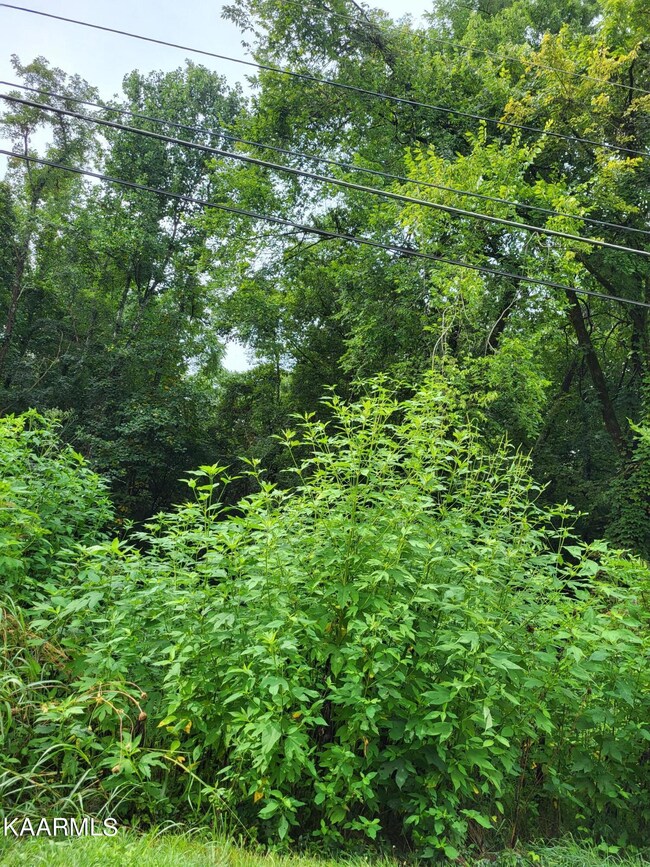 0 Tazewell Pike unit 1235597, Luttrell, TN 37779 - photo 2