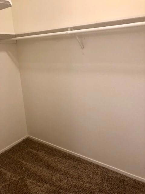 Walk in closet with dark carpet