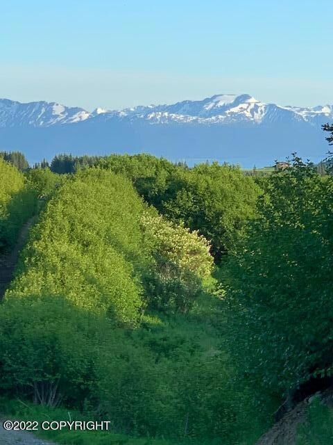 View from Lot_