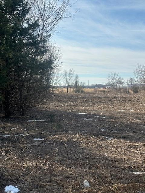 00 Redbud St, Rogersville, MO 65742 - photo 4