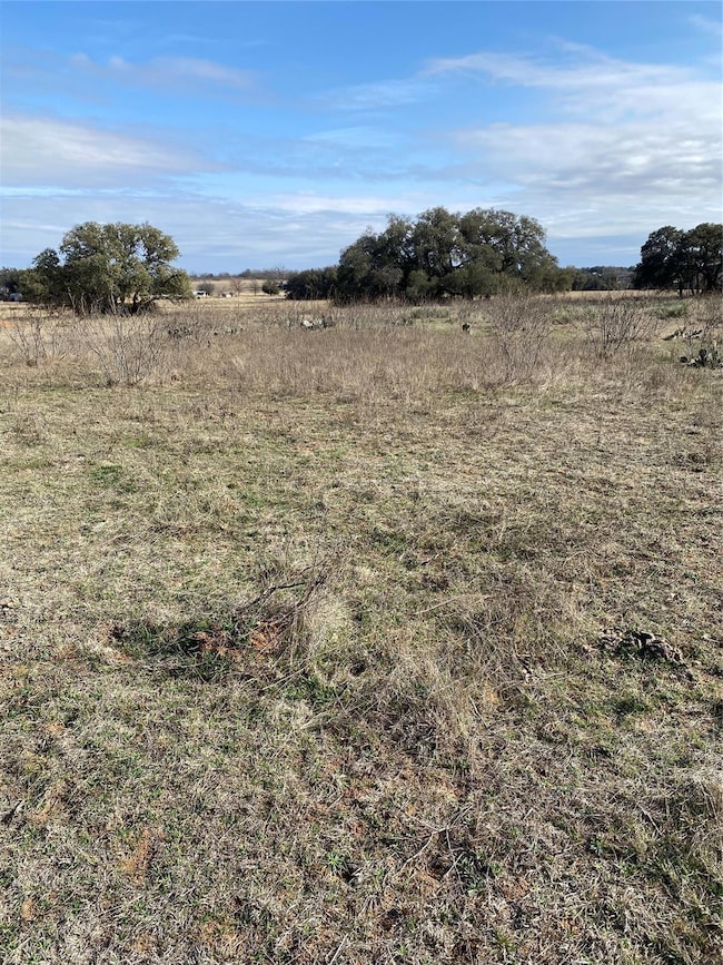 View of local wilderness featuring a rural view