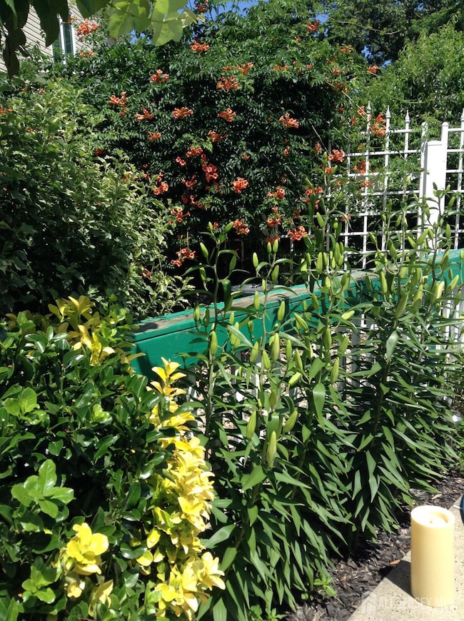 16 Marsad Dr, Old Bridge, NJ 08857 - photo 4