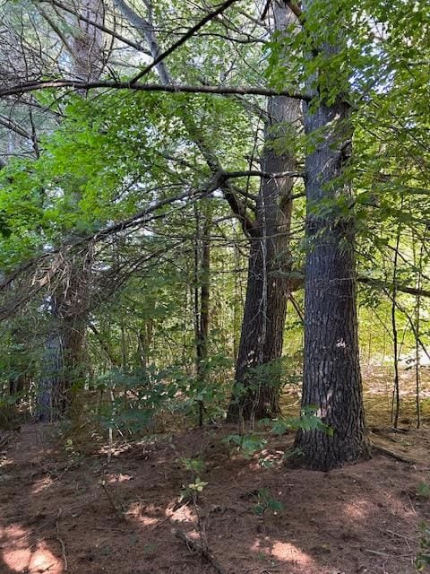 5383 N Conway Rd, Alanson, MI 49706 - photo 5