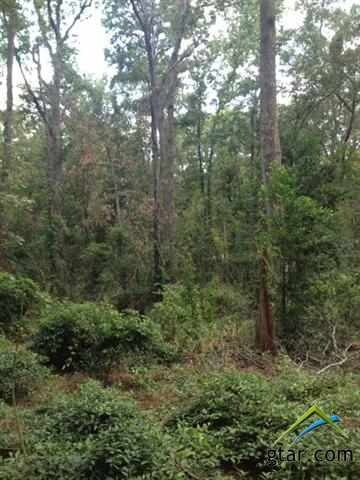 5814 Brixworth Dr, Tyler, TX 75703 - photo 6