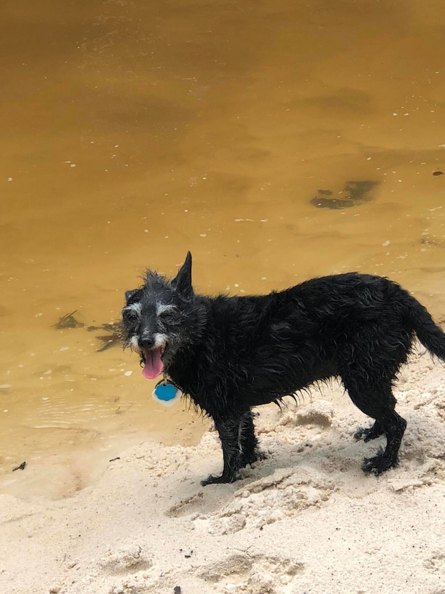 Parcel A Sunburst Dr, Crestview, FL 32539 - photo 4