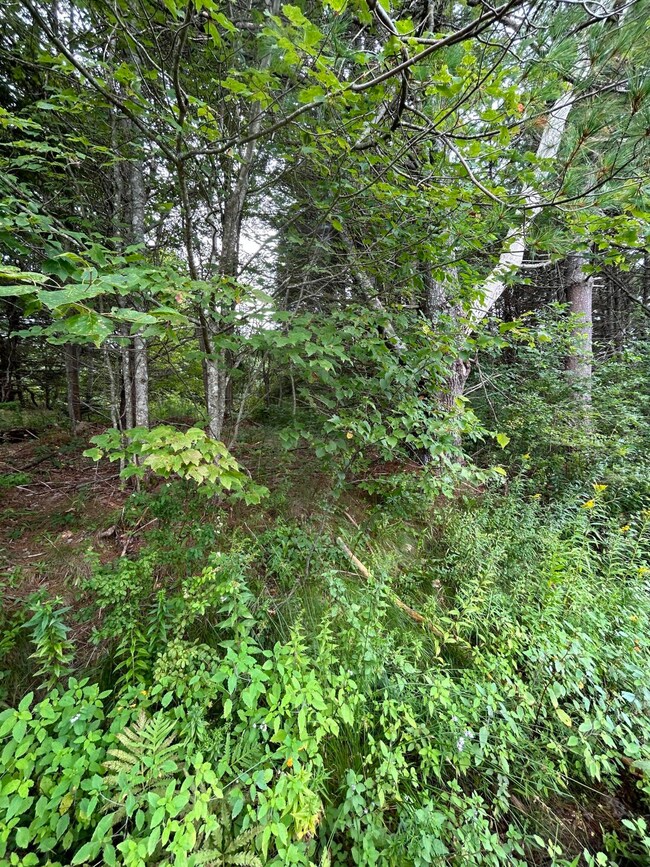 0 Allen Point Rd, Harpswell, ME 04079 - photo 3