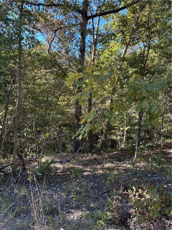 0 Pickering Dr unit 1230504, Bella Vista, AR 72714 - photo 3