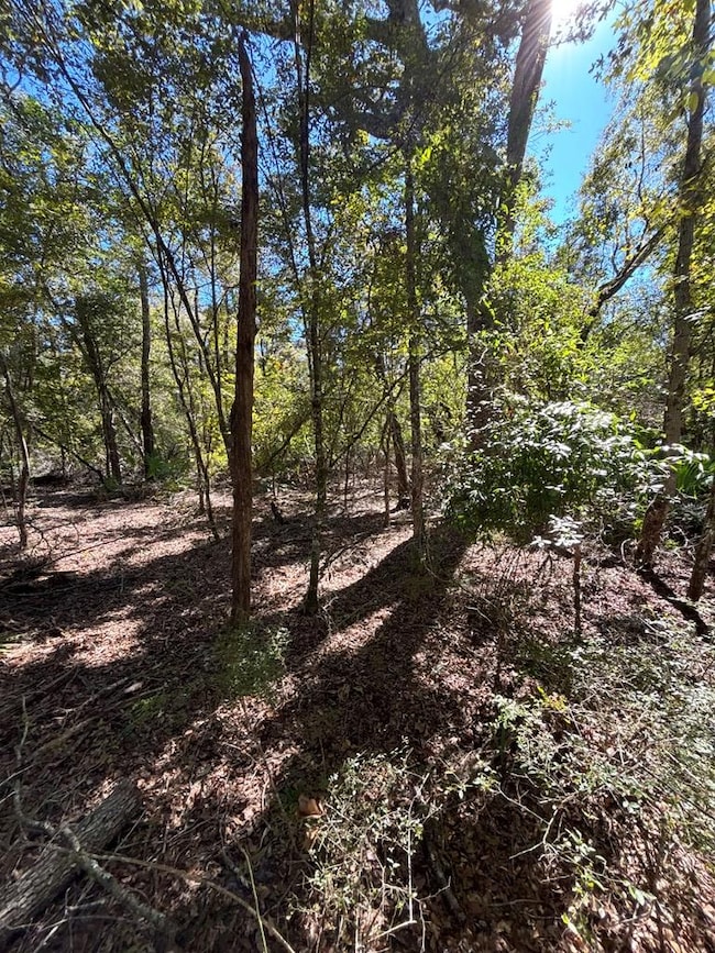 Lot 1 SE 843rd St, Old Town, FL 32680 - photo 6