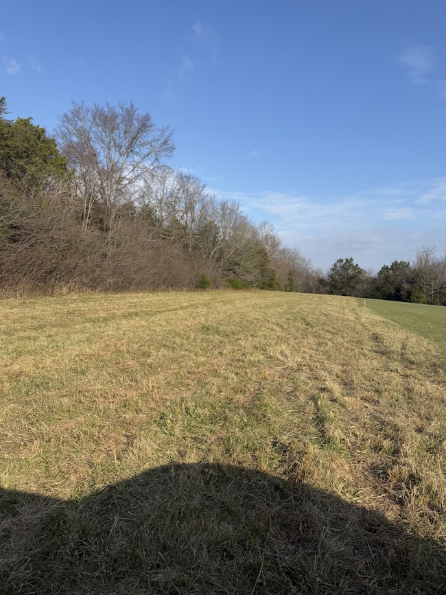 0 Trousdale Ferry Pike, Lebanon, TN 37090 - photo 3