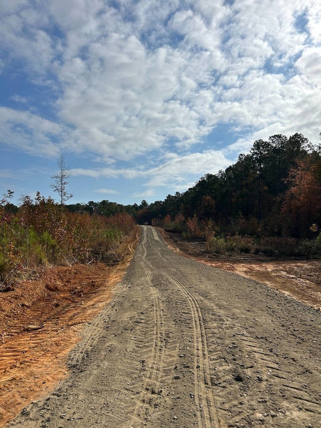 0031 State Road S-40-232 unit 31, Elgin, SC 29045 - photo 3