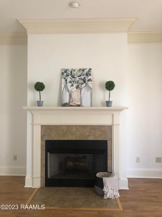 Wood burning fireplace