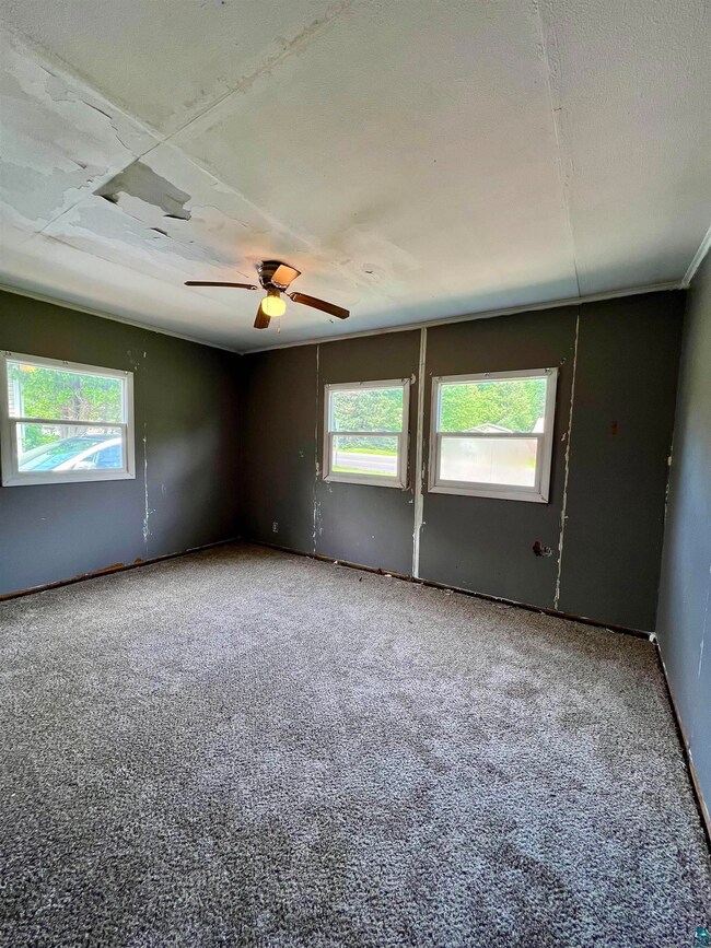 Carpeted spare room featuring a wealth of natural 